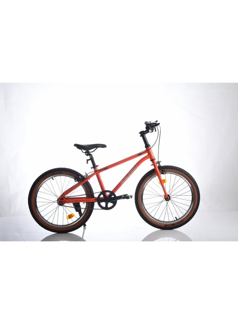 Raleigh POP 20 Inch alloy frame single speed - Image 3